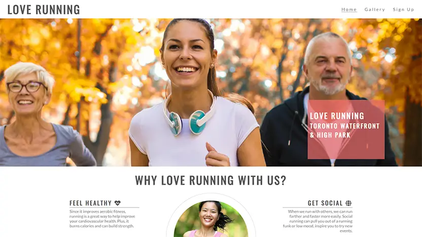 Responsive HTML and CSS website with media queries